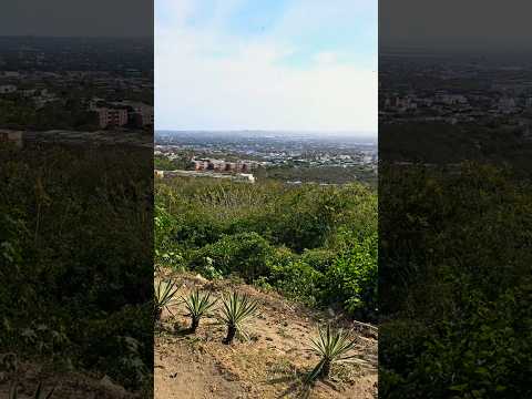 Best Hidden Viewpoint in Barranquilla 🇨🇴 | Mirador De Los Nogales