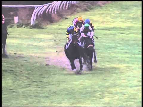 Galoppo 18/01/2015 - 1° corsa