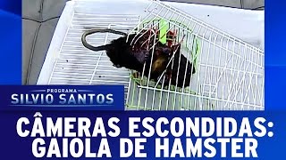 Câmera Escondida (16/10/16) - Gaiola de Hamster