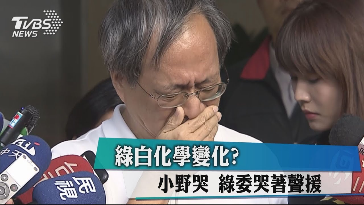 綠白化學變化？　小野哭 綠委哭著聲援