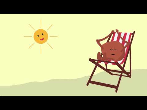 Wie wird aus einem Samen eine Pflanze ?