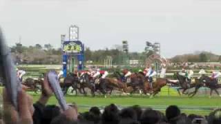 preview picture of video 'Japan Vlog 34 - Horse Racing'