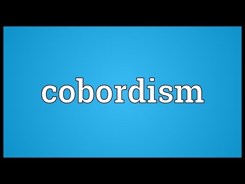 Cobordism Meaning