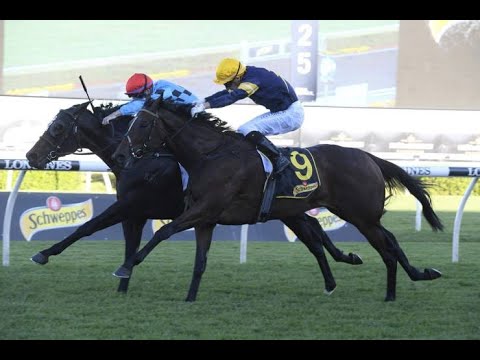 2020 ATC All Aged Stakes