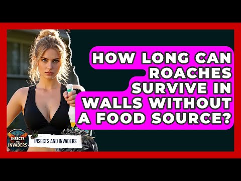 How Long Can Roaches Survive In Walls Without A Food Source? - Insects and Invaders
