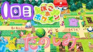 めちゃくちゃはちゃめちゃ楽しみにしてたよ！！！【ぽこあポケモン】＃1
