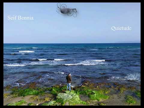 Dear Friends _ Seif Bennia