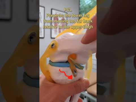 A visual of how the #acl and #pcl works...