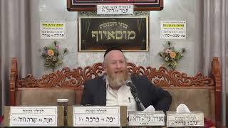 פרשת כי תשא תשפ"ו | מוסאיוף |