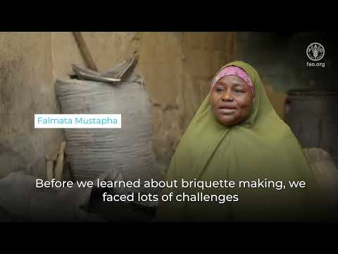 Enhancing Resilient Livelihoods in Northeast Nigeria