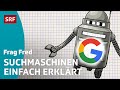 Frag Fred: Wie funktioniert eine Suchmaschine wie z. B. Google? | Kindervideos | SRF Kids
