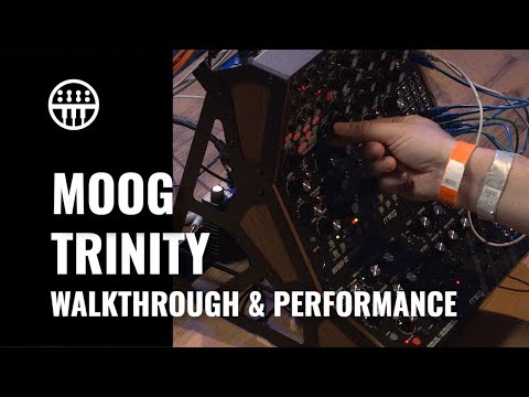 Moog Talking About Their Trinity feat. Subharmonicon, Mother-32 & DFAM | Thomann