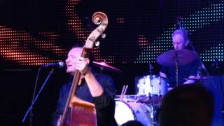 Deke Dickerson - I Never Cared For You (Wilie Nelson)