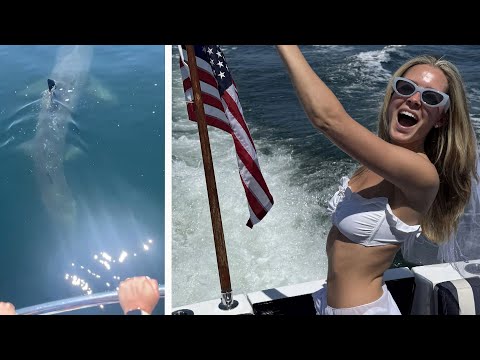 Shark Crashes Bachelorette Party