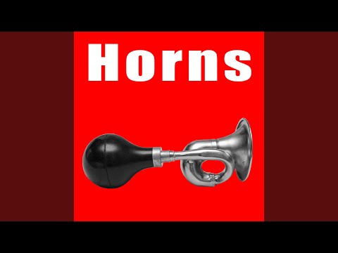 Several Squeaks from Small Children's Bicycle Horn