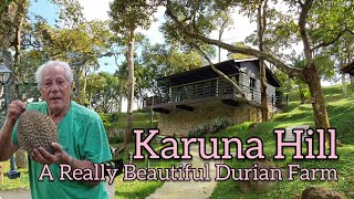 Download lagu Perkebunan Durian Penang - Perkebunan Durian Terindah - Bukit Karuna - Untuk Menginap dan Durian: Vila Perkebunan Durian Paling Romantis di Penang mp3