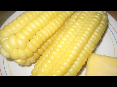 download lagu mp3 mp4 Como Cocinar Mazorcas De Maiz Frescas, download lagu Como Cocinar Mazorcas De Maiz Frescas gratis, unduh video klip Como Cocinar Mazorcas De Maiz Frescas
