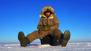 Ратлины герман для зимней рыбалки