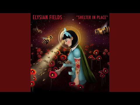Video thumbnail for Shelter In Place