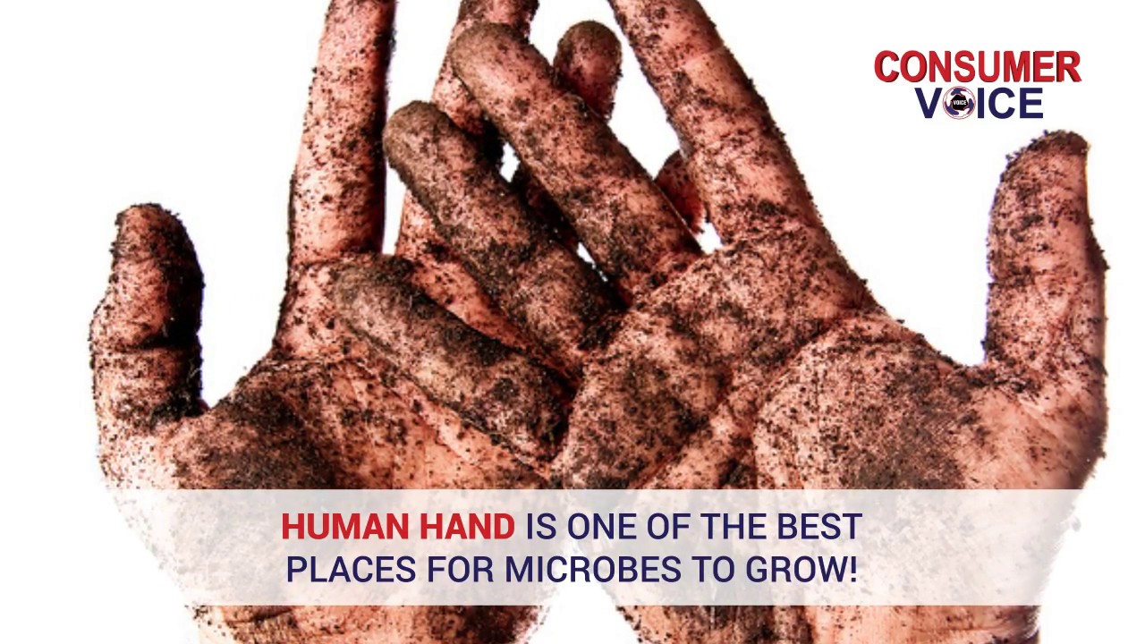 Liquid Hand Wash - 10 Brands Tested