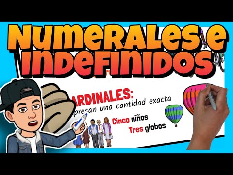 📚 Los DETERMINANTES NUMERALES e INDEFINIDOS para NIÑOS de PRIMARIA