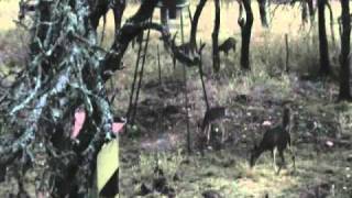 She aint goin nowhere