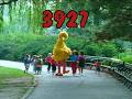 Sesame Street Cousin Bear Is Afraid Of Monsters