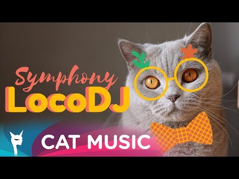 LocoDJ - Symphony (Official Single)