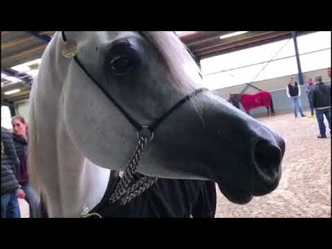 Bint Hazy Al Khalediah👌🏻😍