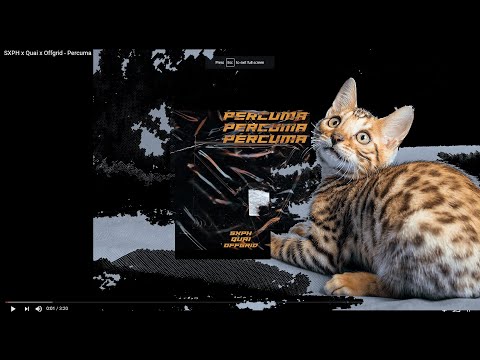 sxph x quai x offgrid - percuma ~ reaction #hqareact