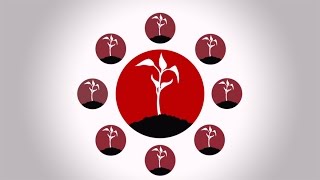 The Founder's Mentality: How to Overcome the Predictable Crises of Growth