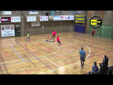 Tomtecup Final P02: Ale United Bergsjön IF 05-01-2015