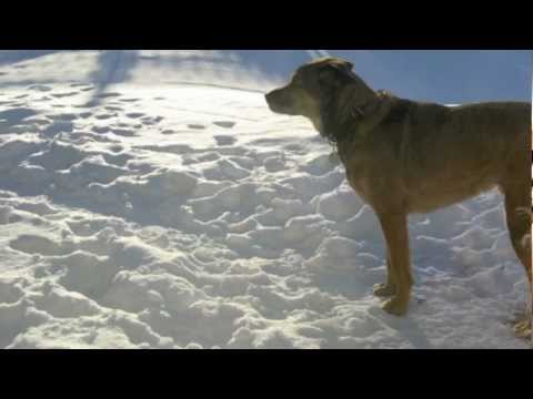 Where's Your Life Going Mike Harper