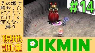 その日増やしたピクミンしか使えない縛り【現地調達ピクミン】#14