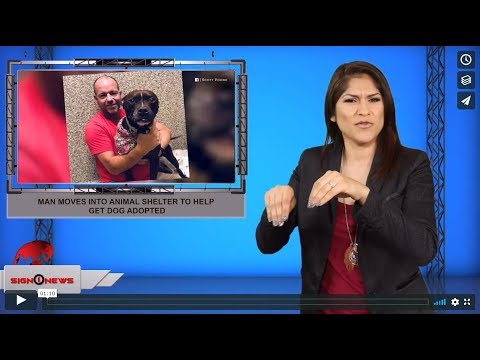 Man moves into animal shelter to help get dog adopted (9.20.19)