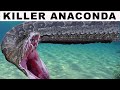 KILLER GREEN ANACONDA 
