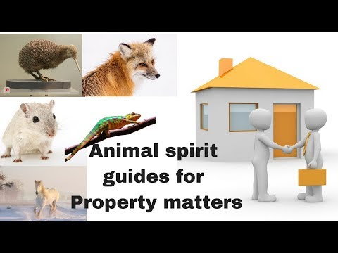 Animal Spirit Guides for Property | Buying and Selling Land Issue | Reeya's Spiritual Remedies