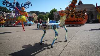 Play video background image - video 2