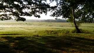 preview picture of video 'Microadventure - Brockenhurst, New Forest'