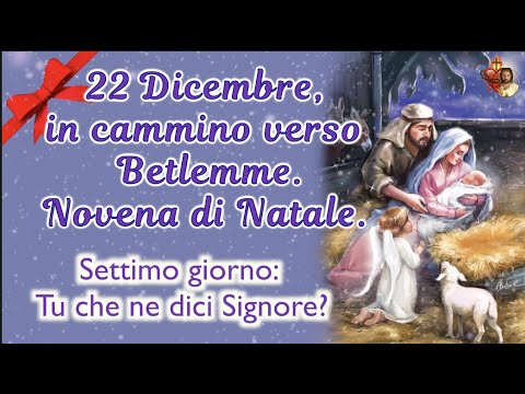 22 dicembre, in cammino verso Betlemme.Novena di Natale Settimo giorno: Tu che ne dici Signore?