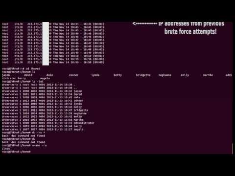 Hacker caught in Kippo SSH honeypot