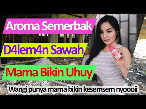 Cerpen  ||  AROMA SEMERBAK BAU SEBLAK