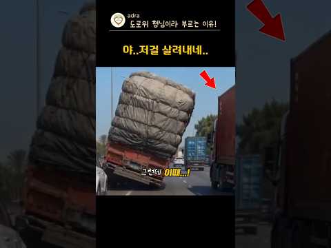 이 정도면 '신'급 운전 실력이지👍도로영웅