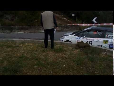 Rally Day del Sebino 2016 - 2° Passaggio - Parzanica - DSCN0113