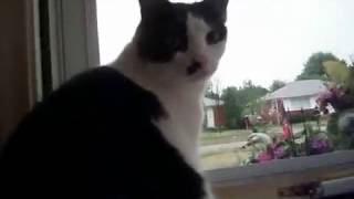 Download lagu Muning after the rain and hail mp3 Download lagu Muning after the rain and hail mp3