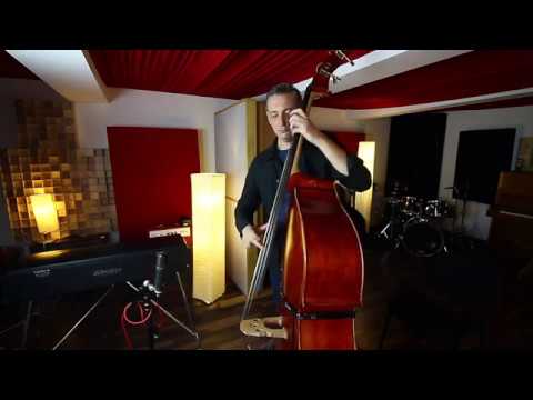 Nenad Vasilic /// Gavrilo`s Prinzip