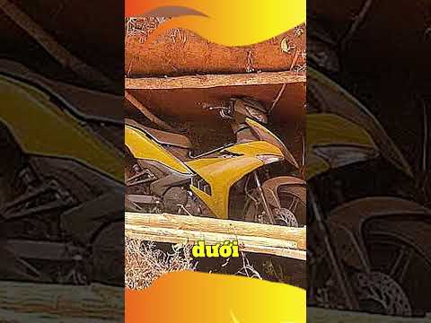 Ngân Hàng Gia Lai #tiendung #tintuc #nganhanggialai #xe #Exciter