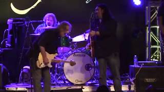 Gonna Hurt Like Hell -  Walter Trout Band feat: Alastair Greene  LIVE !!  - musicUcansee