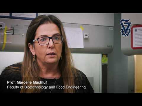 Prof.  Marcelle Machluf Technion direct delivery Cancer therapy