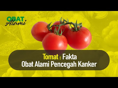 , title : 'Begini Cara Penggunaan Buah Tomat Menurut Dokter | Nutrisi Alami'